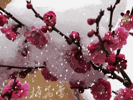 10604b052c864466907e56a0b6dc337b.gif