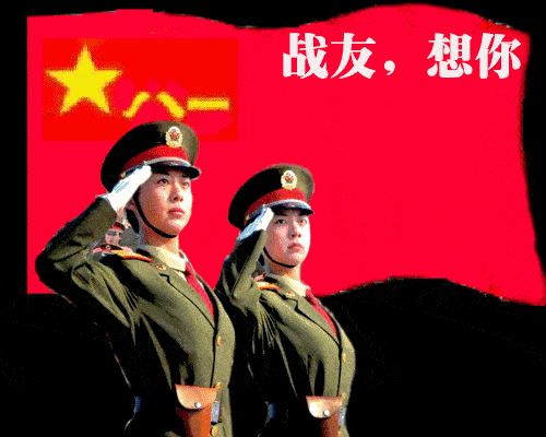 45461d7c6e2e2367ac6fe33a92a4fe7e.gif