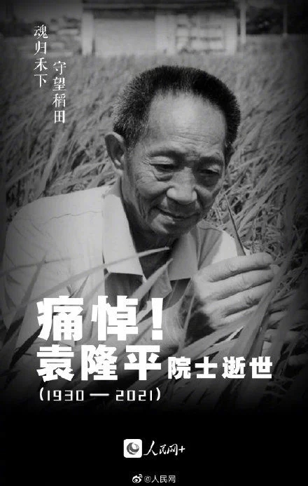 t01127c28be6667284d.webp.jpg
