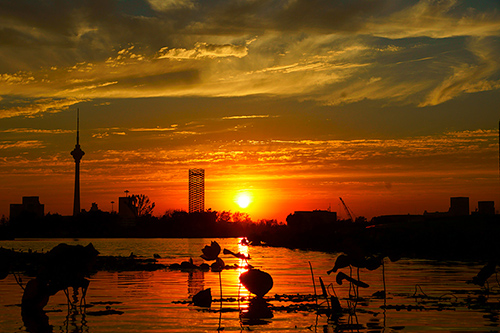a_69652591.jpg