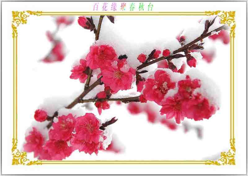 155009iaqa5glkbuxlfavf.jpg