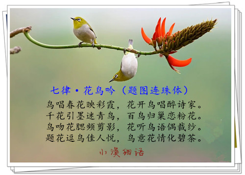 src=http___pic.birdnet.cn_forum_201402_07_221229oaq5ae12lvnglols.jpg&amp;refer=htt.jpg