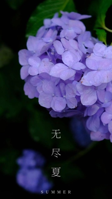 2087BAC9-27F5-41AD-AEAD-5AB33B594898.jpeg