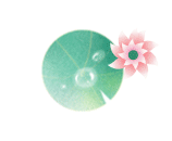 -553b410c0347a99f.gif