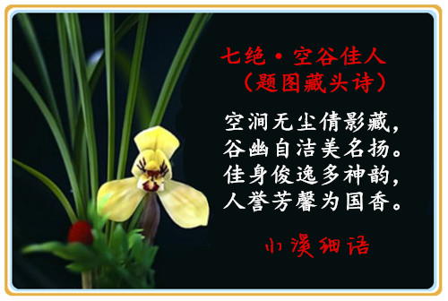 0a8e2f50ebab457489e19a5a80b017c7_����.jpg