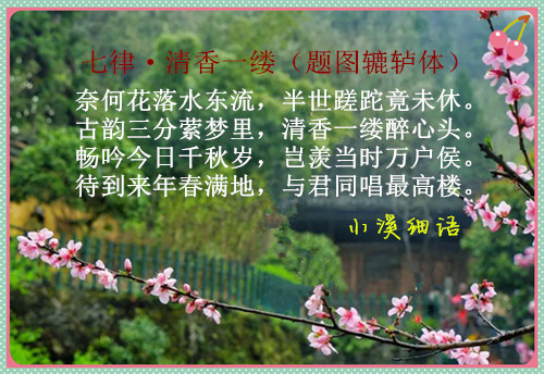 0e3d2c63aee6898c32e4965469851e54_����.jpg
