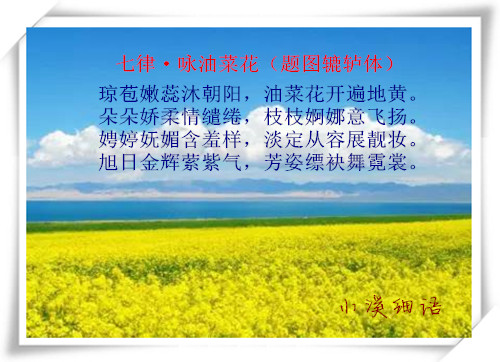 944f79dbe66d64787387f95490eb82e1_����.jpg