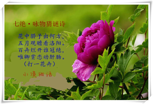 c170c5c50c187da73279b2f5111214f4_����.jpg