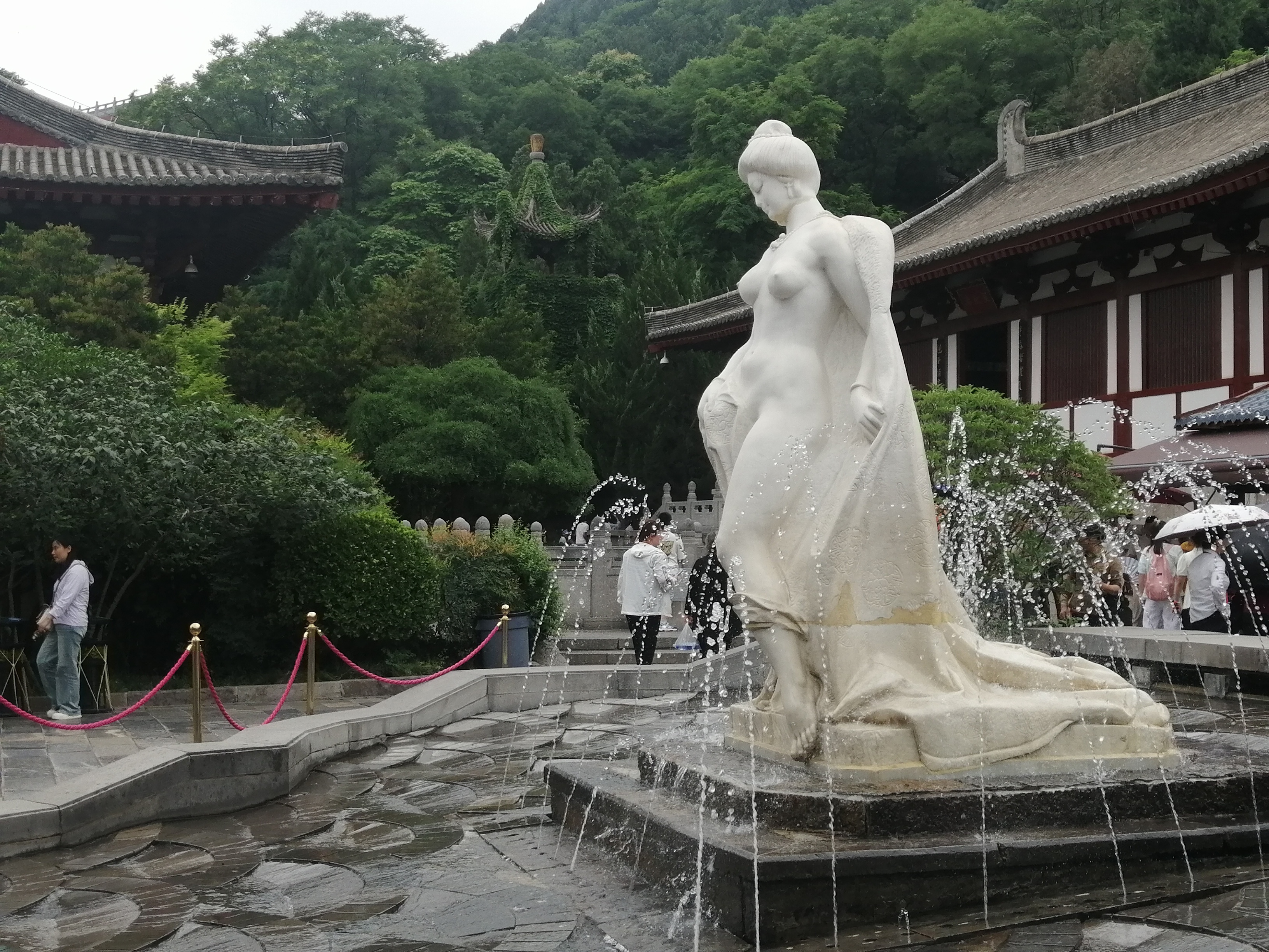 IMG_20240608_141543.jpg