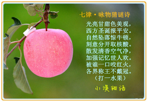 9f303b9ebaaf4a40b0ea496834d6baed_����.jpg
