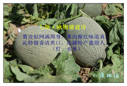 7f0d5ac78004d4e9f7abd474b05cb1d8_����.jpg