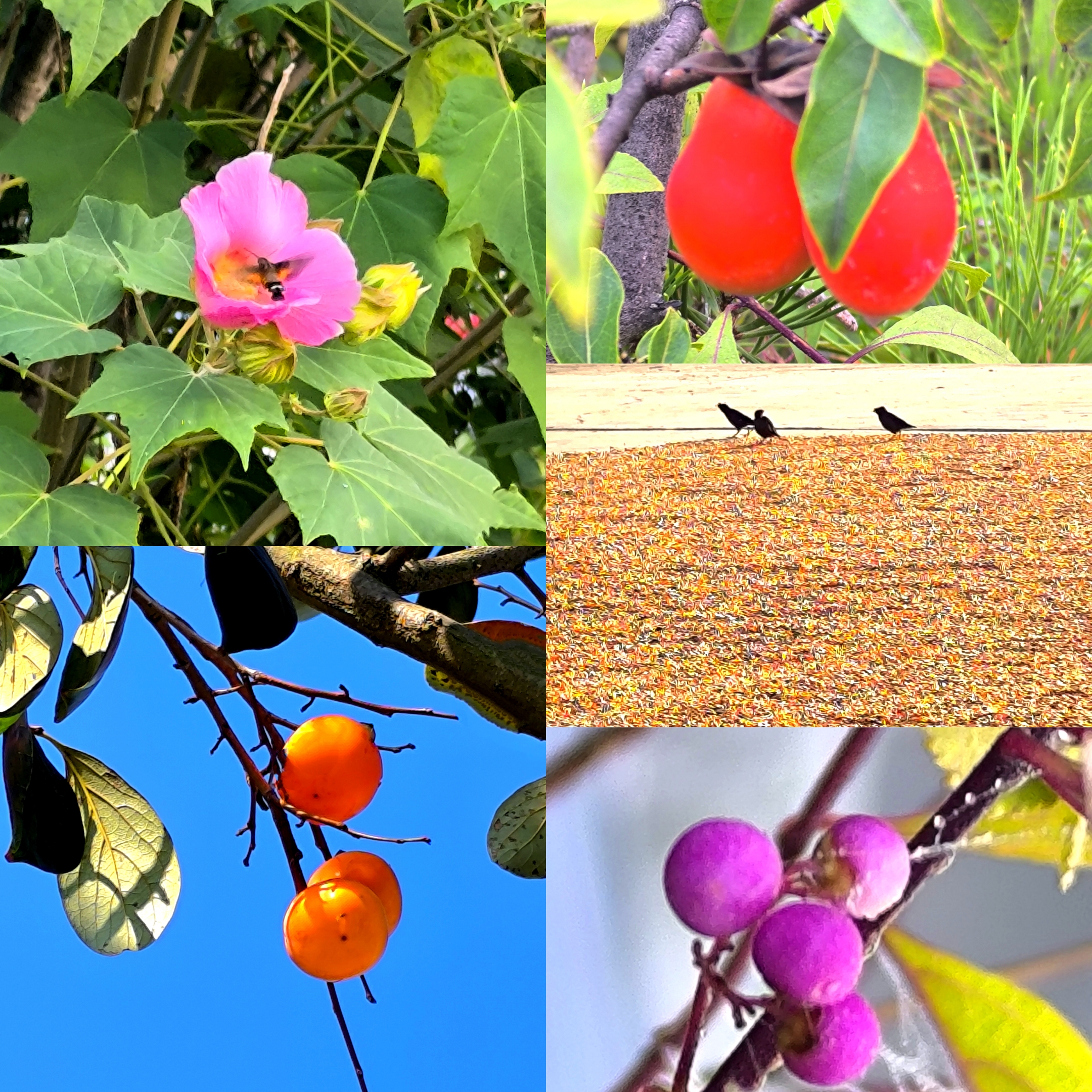 ΢��ͼƬ_20241026084558.jpg