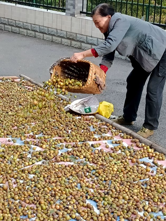 ΢��ͼƬ_20241101161320.jpg