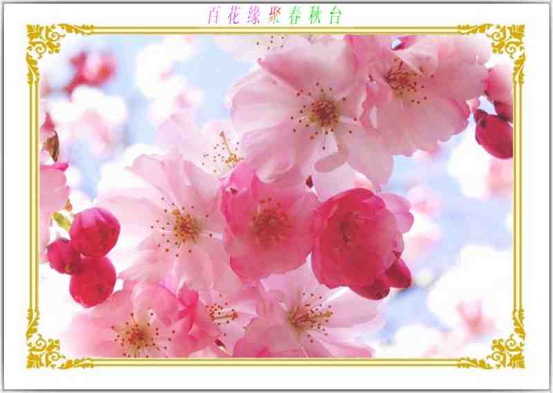 153807yuldn5nx5d3oeza5.jpg