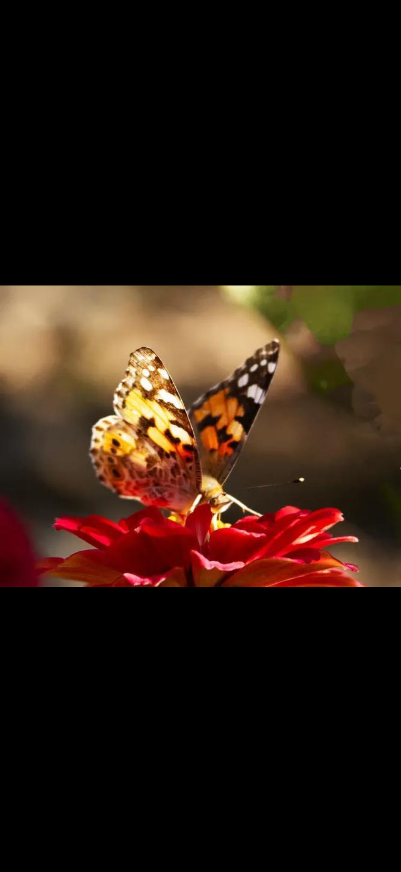IMG_1689.png