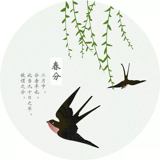 2ceefbb48ae944808549bbf4664873c0~640x640.jpg