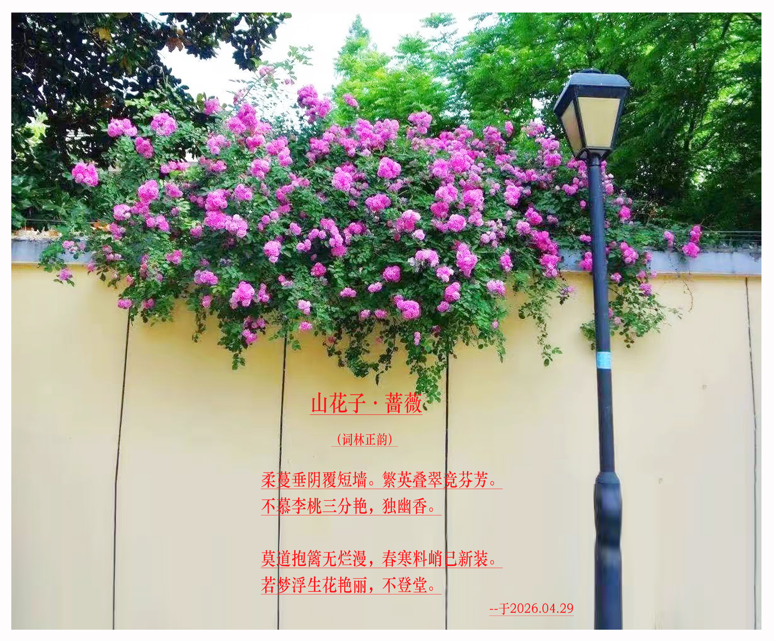Ǿޱ.jpg